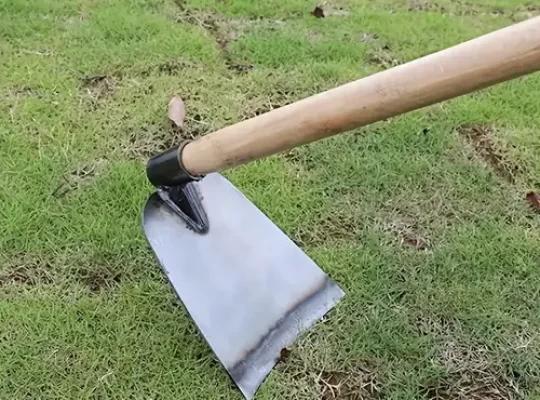 ac6c5e2a-8fd7-438e-9ccb-562f157b79c9